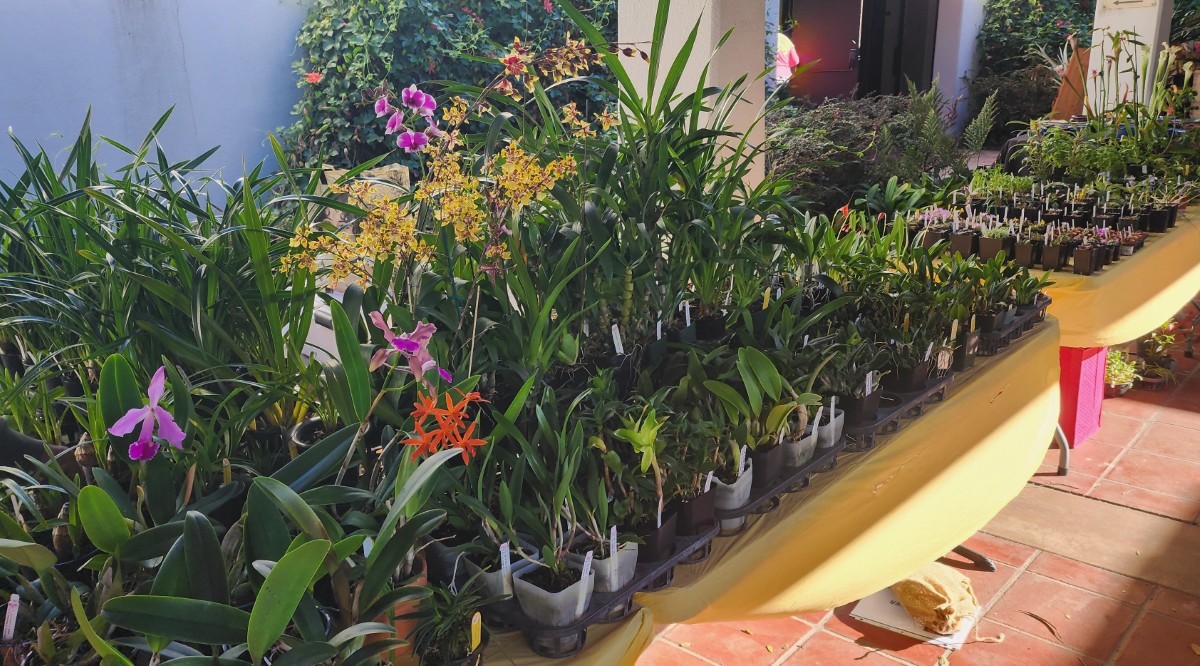 20251107_092348 (1200)