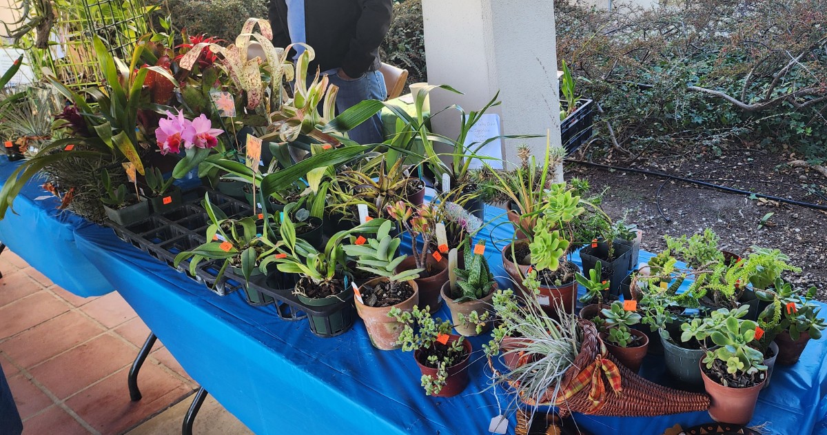 20251107_092513 (1200)